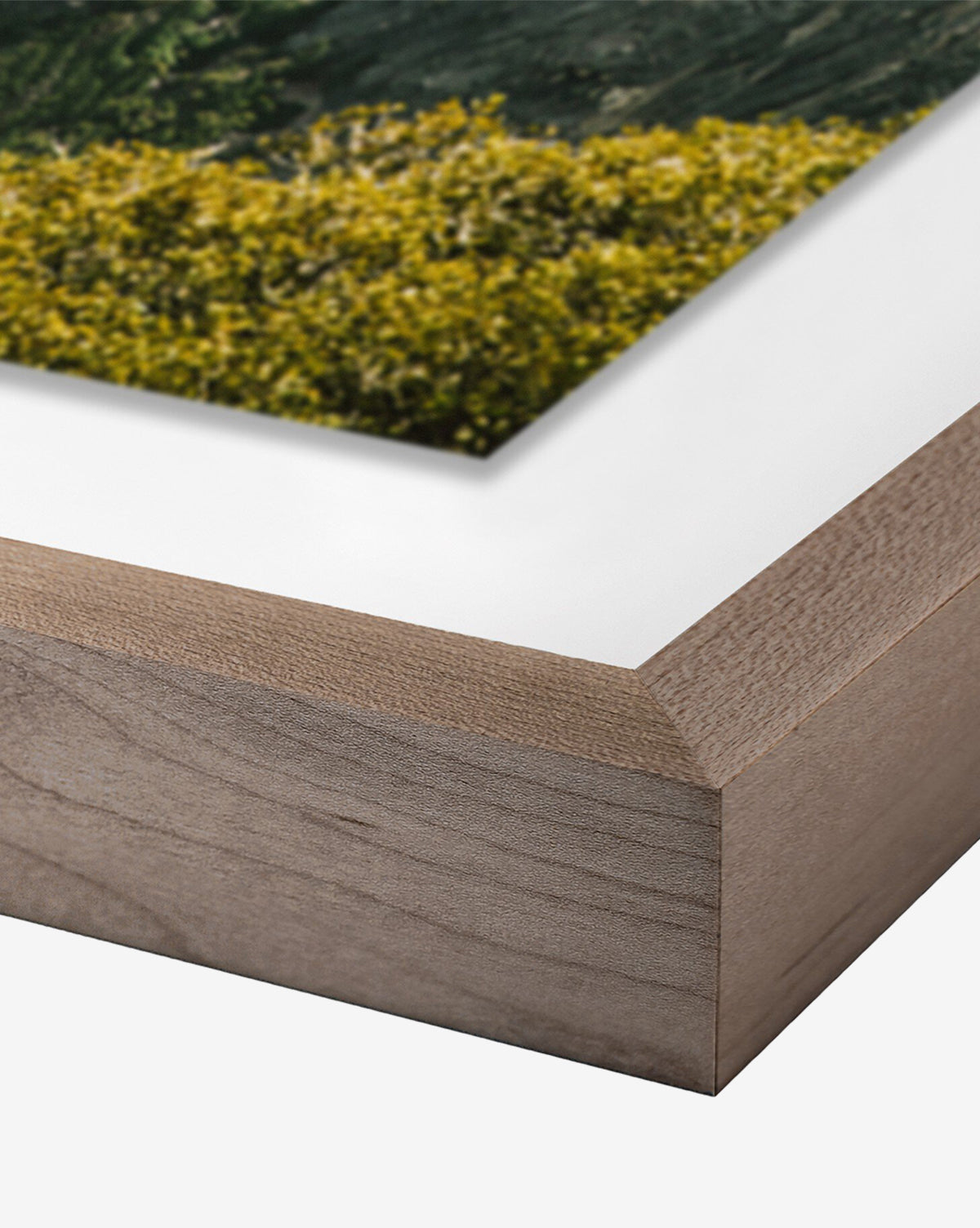 Au-dessus des nuages de Wesley et Emma Teague