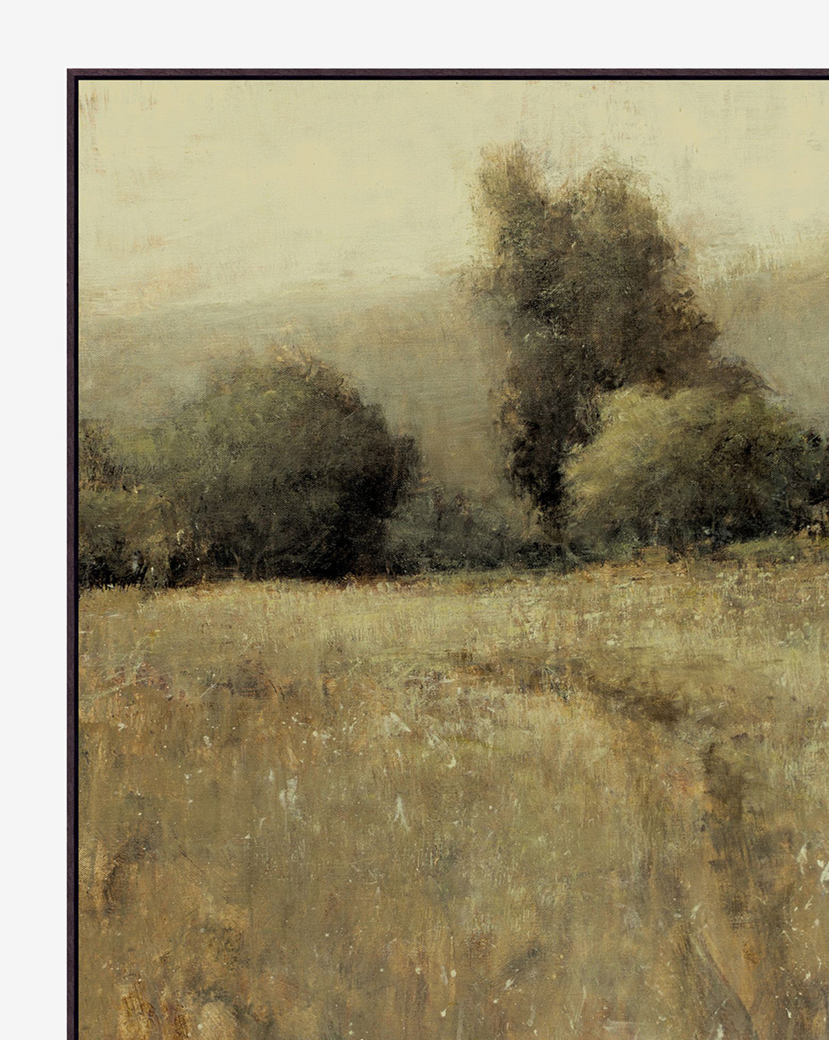 Balmy Meadow de Don Bishop