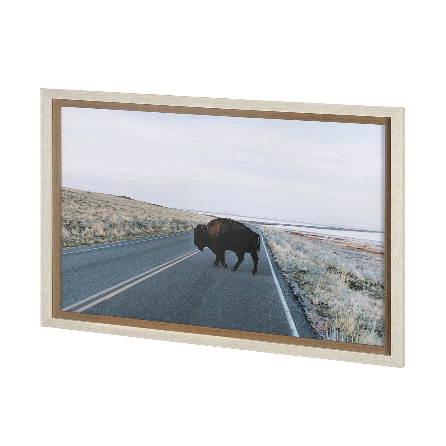 Art encadré - Buffalo Crossing