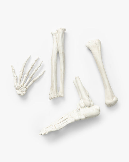 Os de squelette en résine dans un sac à cordon (lot de 4)