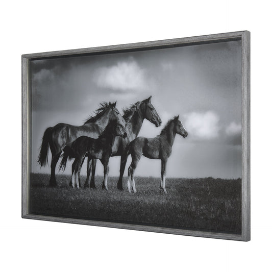 Art encadré - Fier 