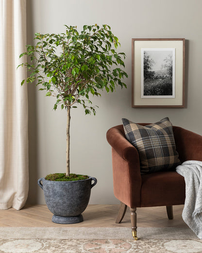 Chaise longue Clémence (prête à être expédiée)