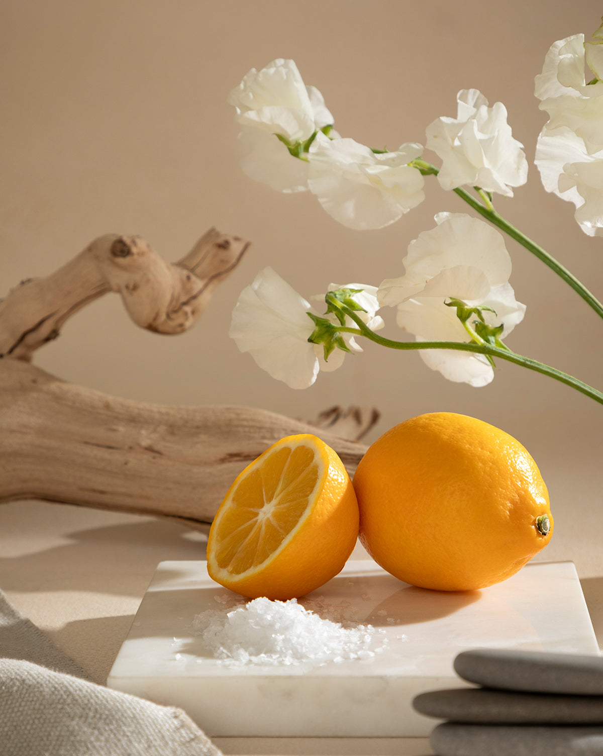 Recharge de parfum d'ambiance Pura x Studio McGee Seaside Terrace