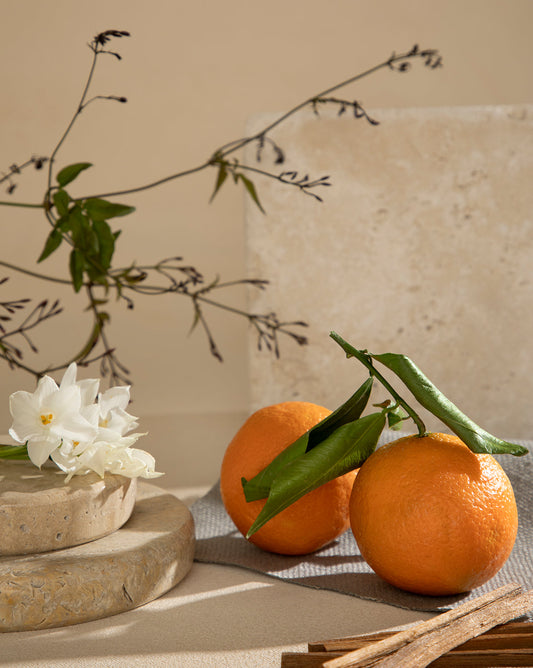 Recharge de parfum d'ambiance Pura x Studio McGee Jasmine Honeysuckle