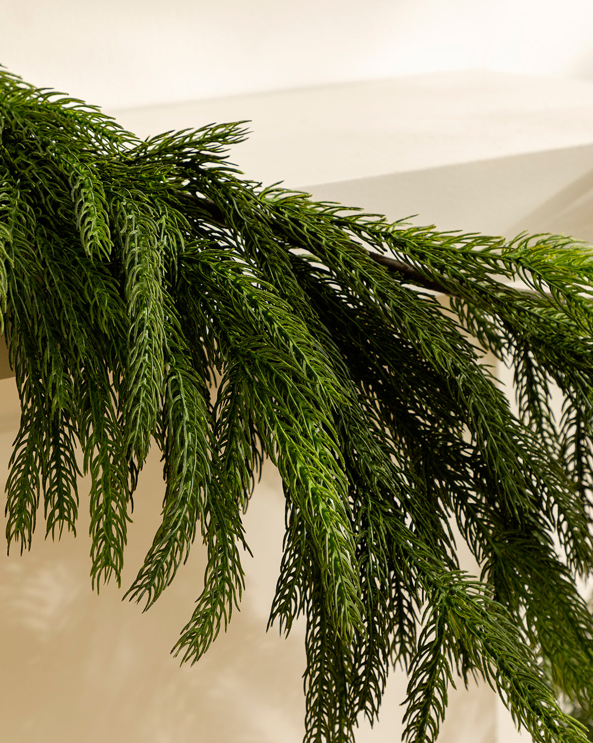 Guirlande artificielle en pin de Norfolk de 6 pi