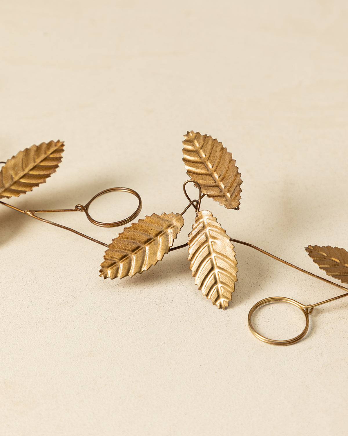 Guirlande de porte-cartes de 6 pieds