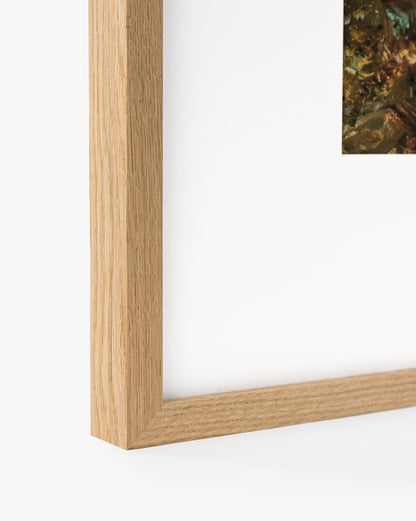 Une rivière coule à travers