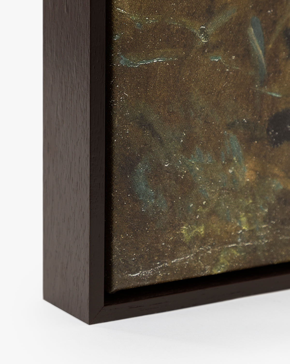 Graminées des berges