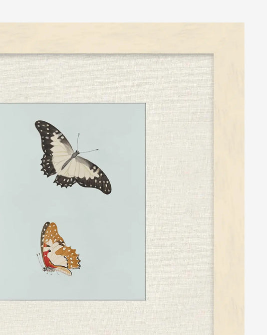 Étude sur les papillons II