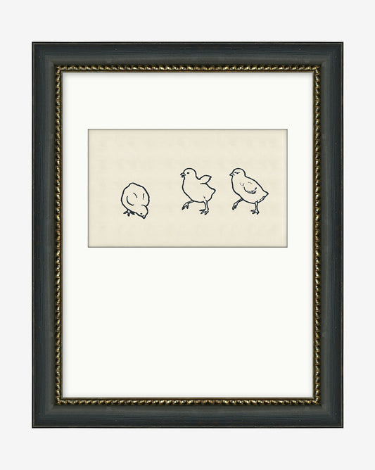 Découpes de poussins