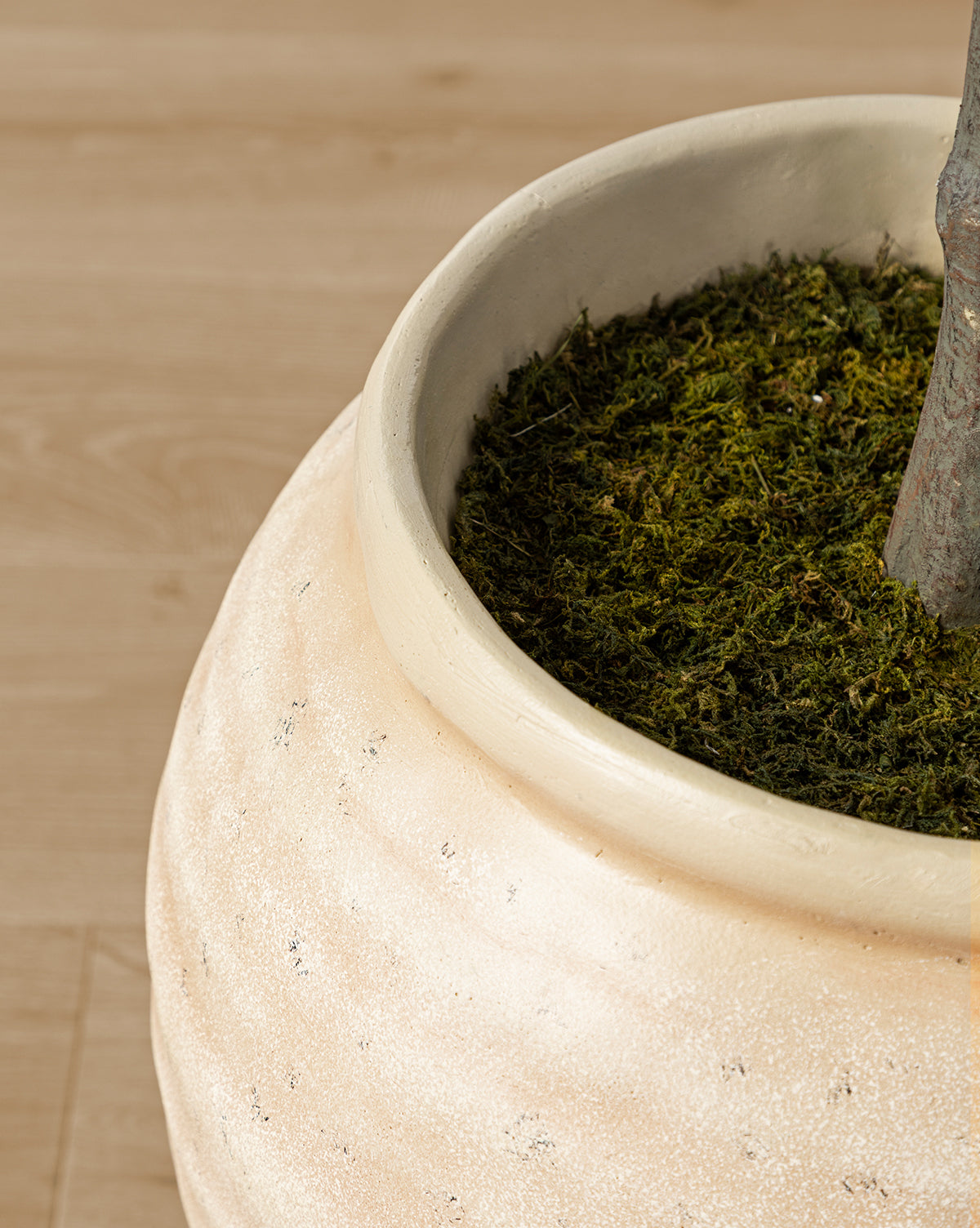 Faux cognassier japonais