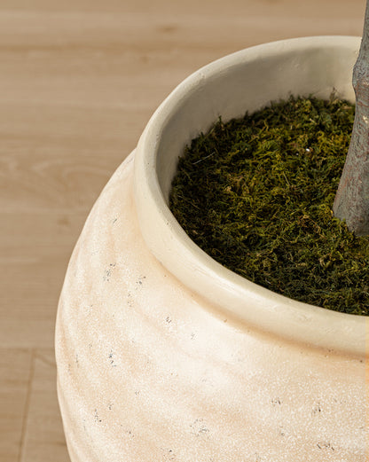 Faux cognassier japonais