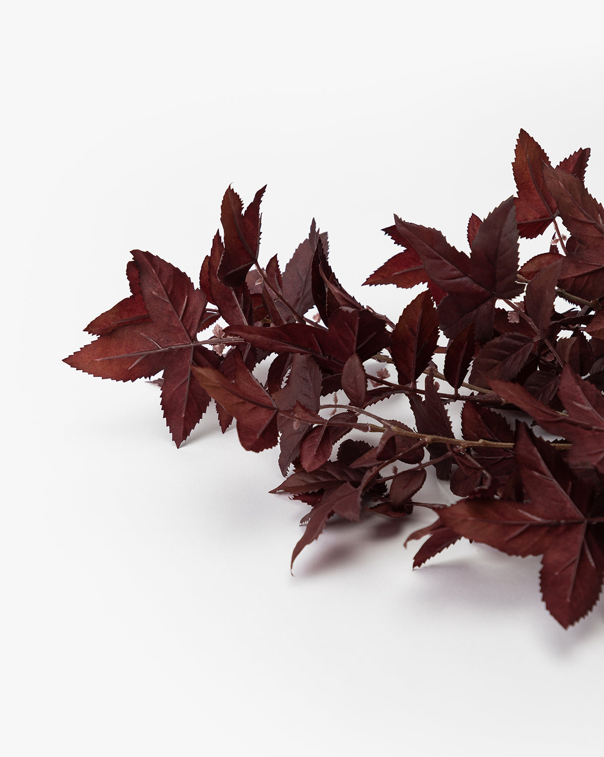 Tige de fausse feuille d'érable