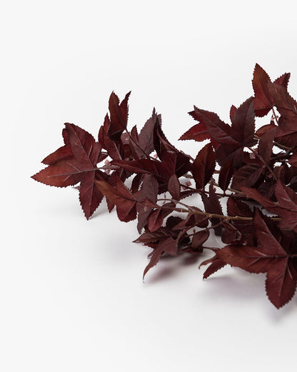 Tige de fausse feuille d'érable