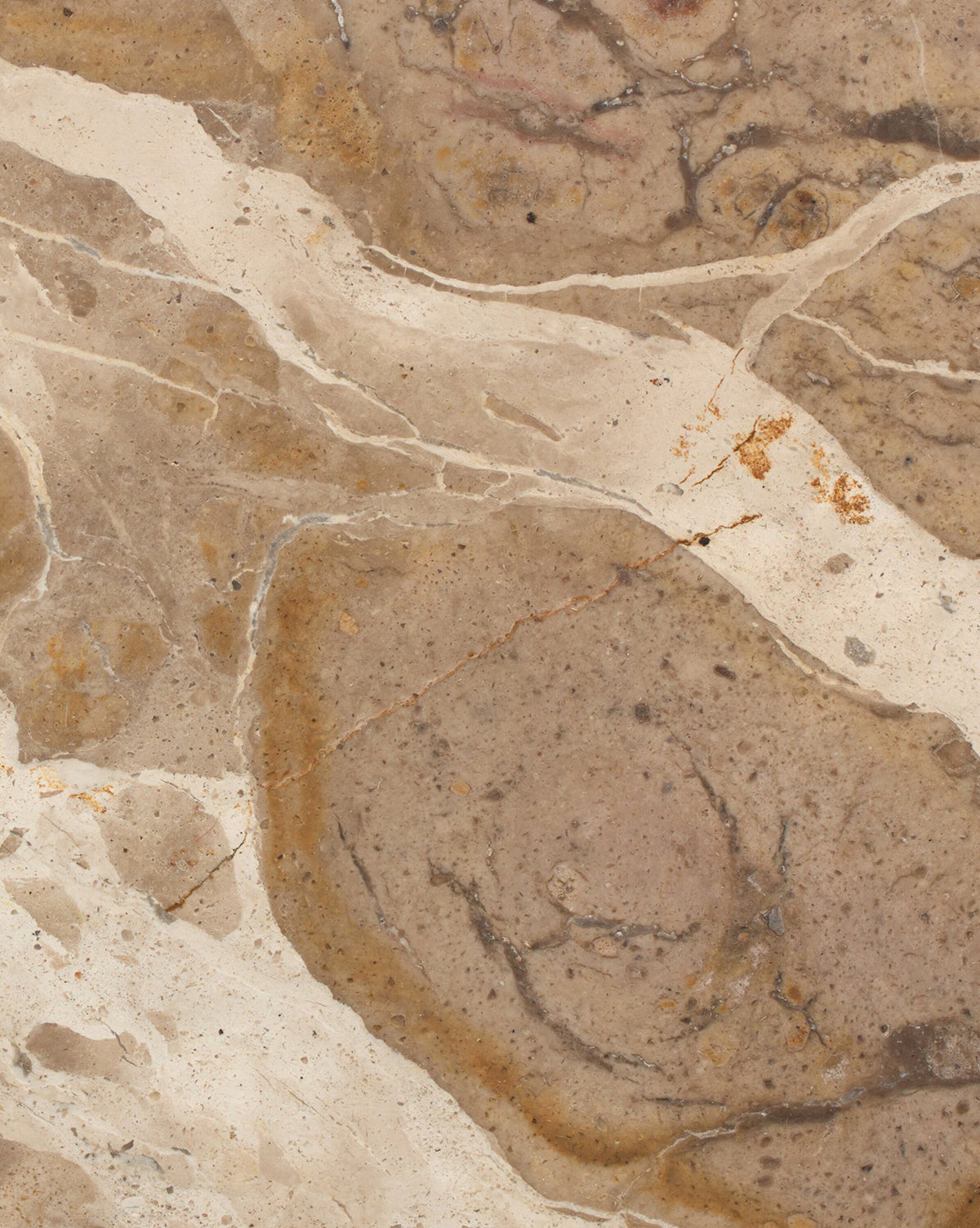 Table d'appoint en marbre fossile