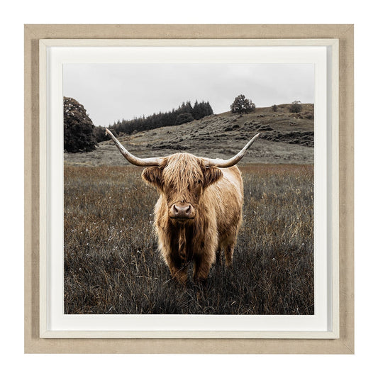Art encadré - Highlander 