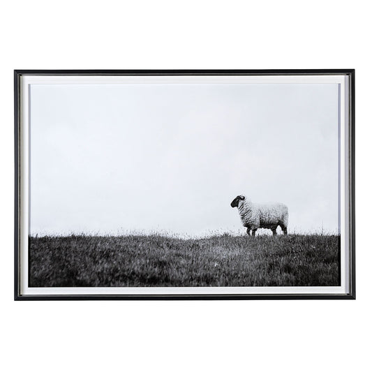 Art encadré - Mouton solitaire 