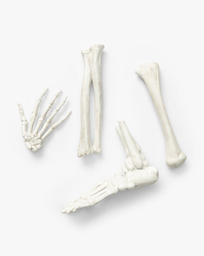 Os de squelette en résine dans un sac à cordon (lot de 4)