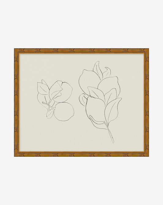 Fruits esquissés II