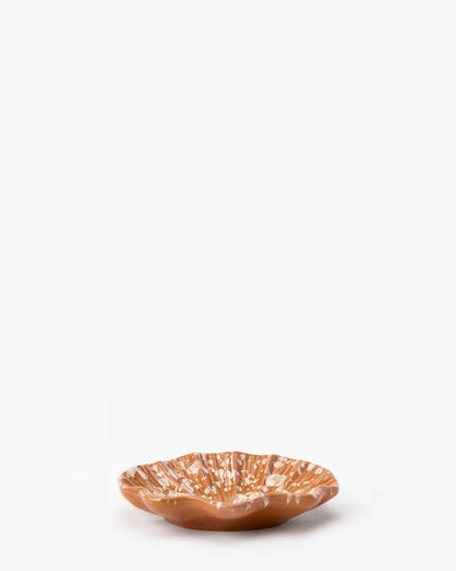 Plat à coquillages éclaboussés