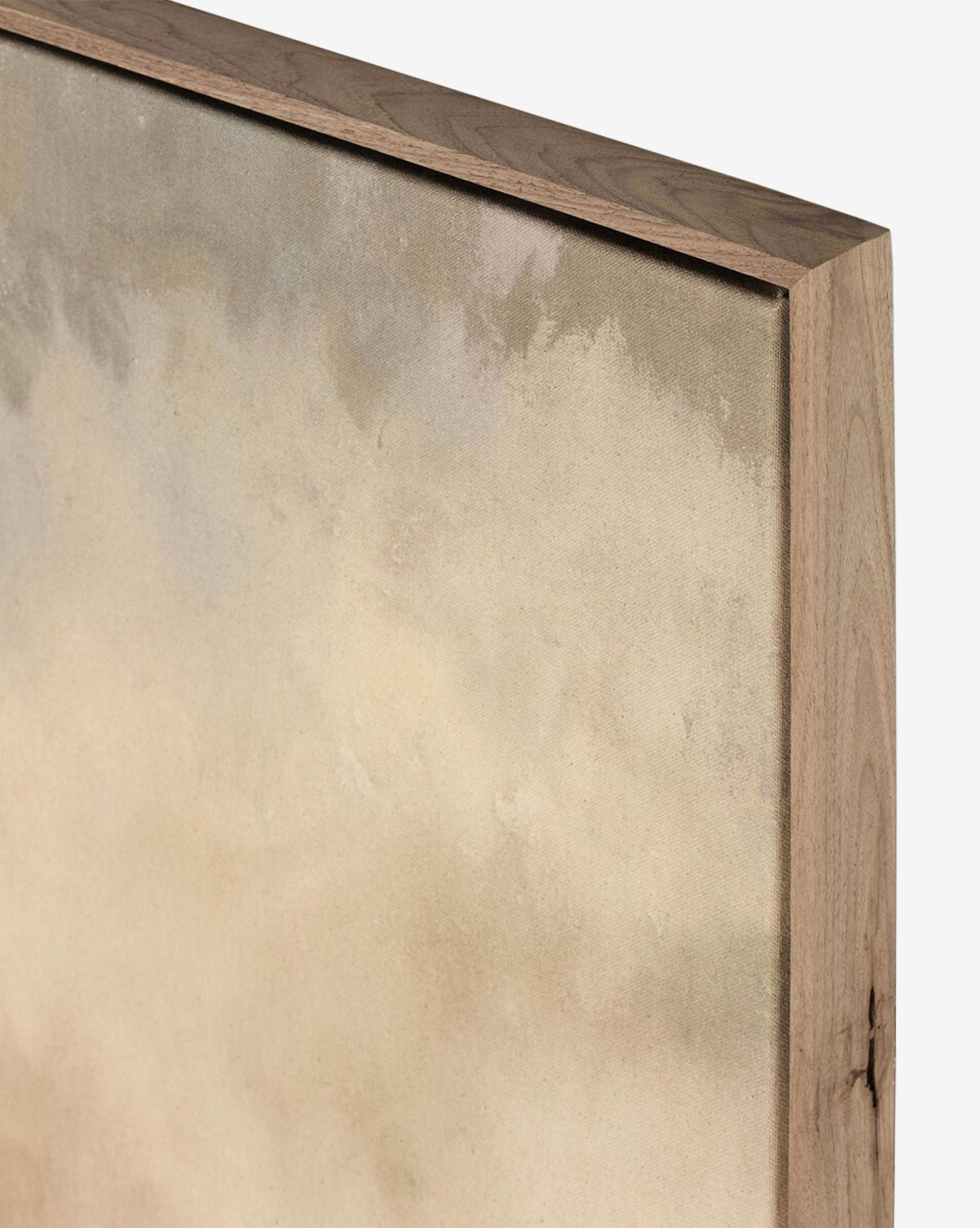 Tu as dit que j'étais la mer par Aileen Fitzgerald