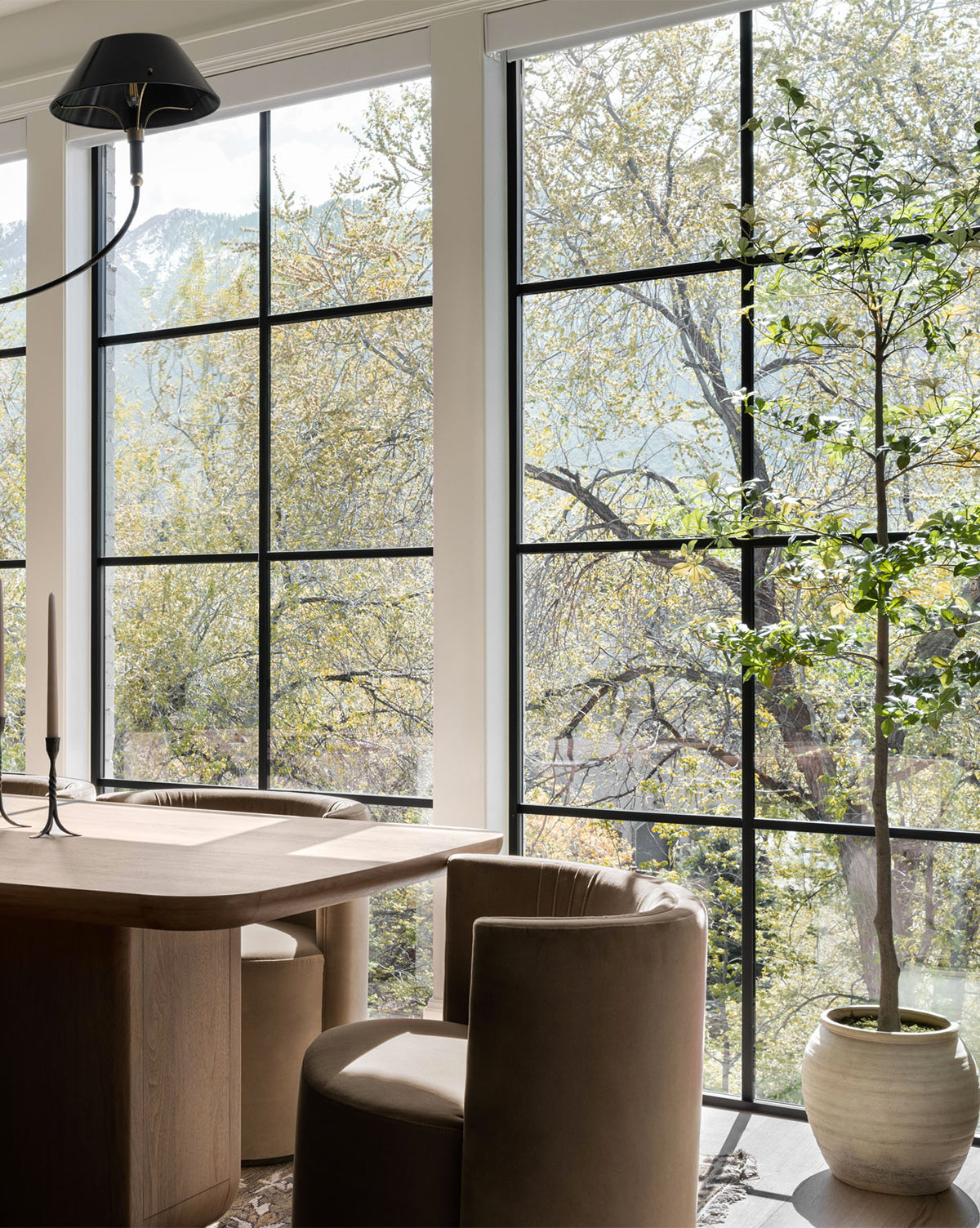 Faux cognassier japonais