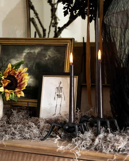 Porte-cône Iron Arachne