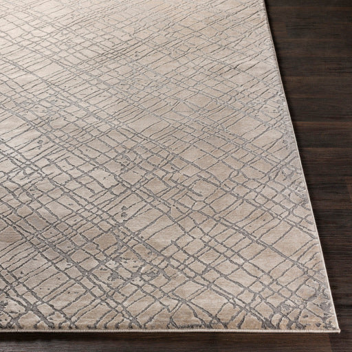 Tapis tibétain gris moyen