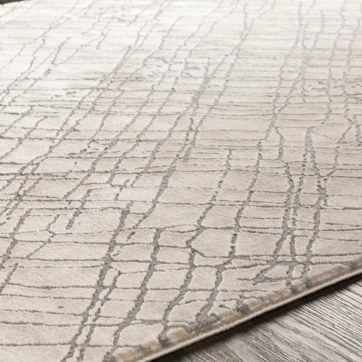 Tapis tibétain gris moyen